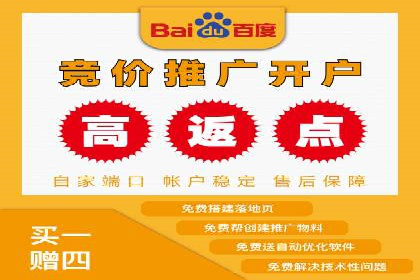 百度推广案例：从零到一的SEO优化之路